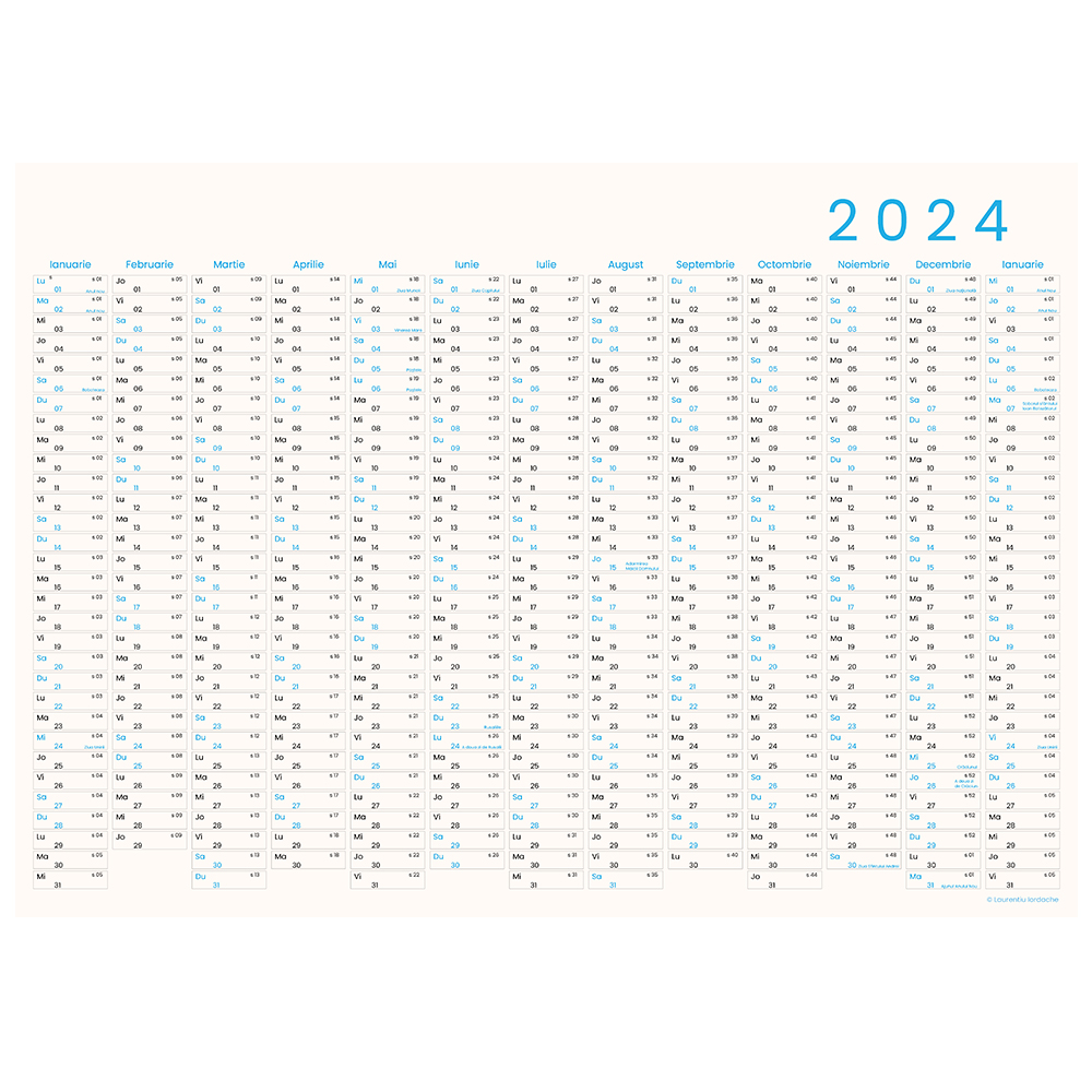 Calendar Planner Anual A2 13 luni 2024, colorful Nais